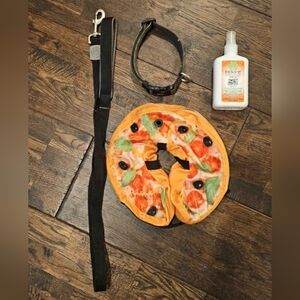 Dog Accessories, Collar, Leash, Dog Deordorizer And Blow Up Collar For Surgery